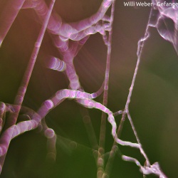 Willi Weber - Gefangen im Spinnennetz